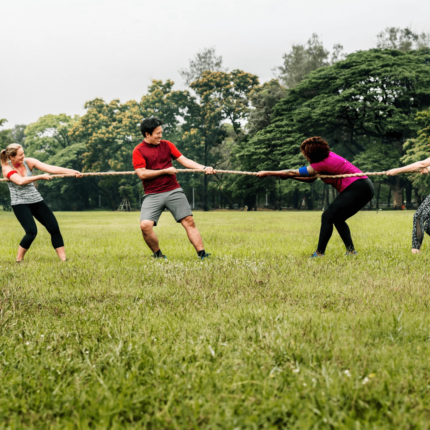 Quatre personnes jouent au tir à la corde.